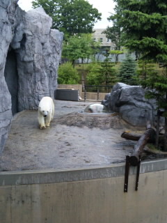 120801_1015~01.jpg